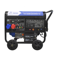 ИНВЕРТОРНЫЙ БЕНЗИНОВЫЙ СВАРОЧНЫЙ ГЕНЕРАТОР TSS GGW 6.0/250ED-R