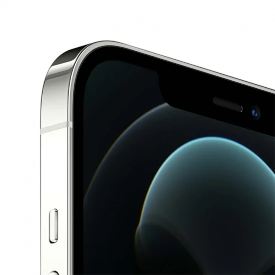 Смартфон Apple iPhone 12 pro max 128Gb Silver 1
