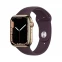 Смарт часы Apple Watch Series 7 45mm Starlite