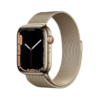 Смарт часы Apple Watch Series 7 45mm Gold