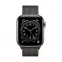 Смарт-часы Apple Watch Series 6 40mm Milanese Black 0