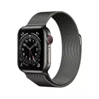 Смарт-часы Apple Watch Series 6 40mm Milanese Black