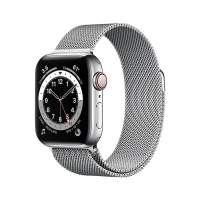 Смарт-часы Apple Watch Series 6 40mm Milanese Silver