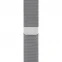 Смарт-часы Apple Watch Series 6 40mm Milanese Silver 1