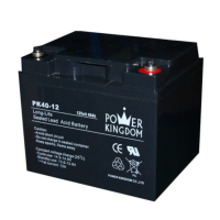 Аккумулятор для инвертеров Power Kingdo 12V/40Ah 