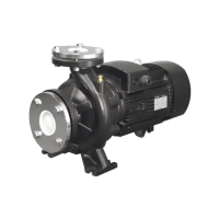 Насос центробежный EPA EVN-100/160-22