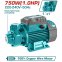 Поверхностный водяной насос TOTAL TWP17506